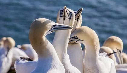 Leyu Sport下载-曼城中场受伤，英超豪门面临考验，英超曼城主场