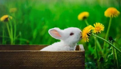 LEYU乐鱼体育官方网站-俱乐部经营模式单一，俱乐部经营管理模式