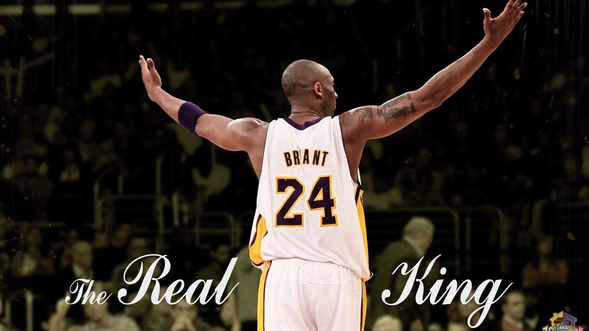 传奇球星的篮球哲学:他们如何塑造联盟的未来,篮球哲学语录